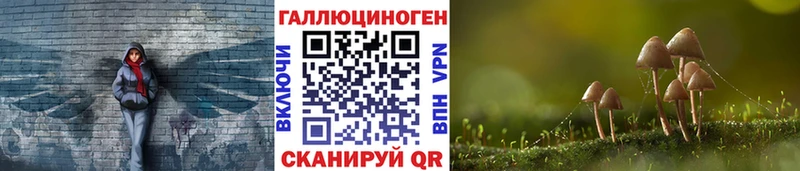 магазин продажи наркотиков  Ирбит  shop как зайти  Псилоцибиновые грибы GOLDEN TEACHER 
